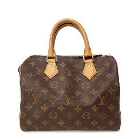 Louis Vuitton Monogram Speedy Handbag - Picture 1 of 8
